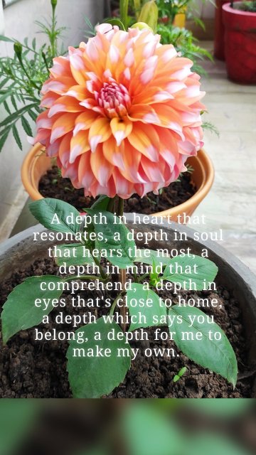 A depth in heart that resonates, a depth in soul that hears the most, a depth in mind that comprehend, a depth in eyes that's close to home, a depth which says you belong, a depth for me to make my own.